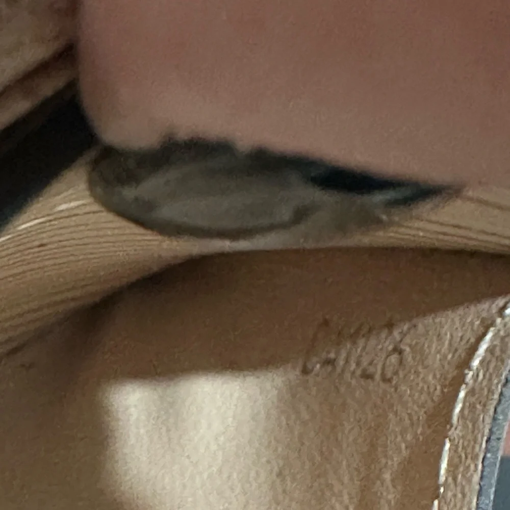 Louis Vuitton Epi Beige Sarah Wallet